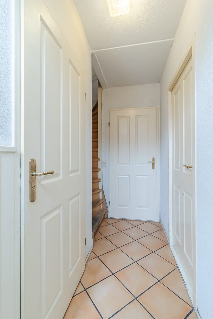 Foto 15 van de Populier 9