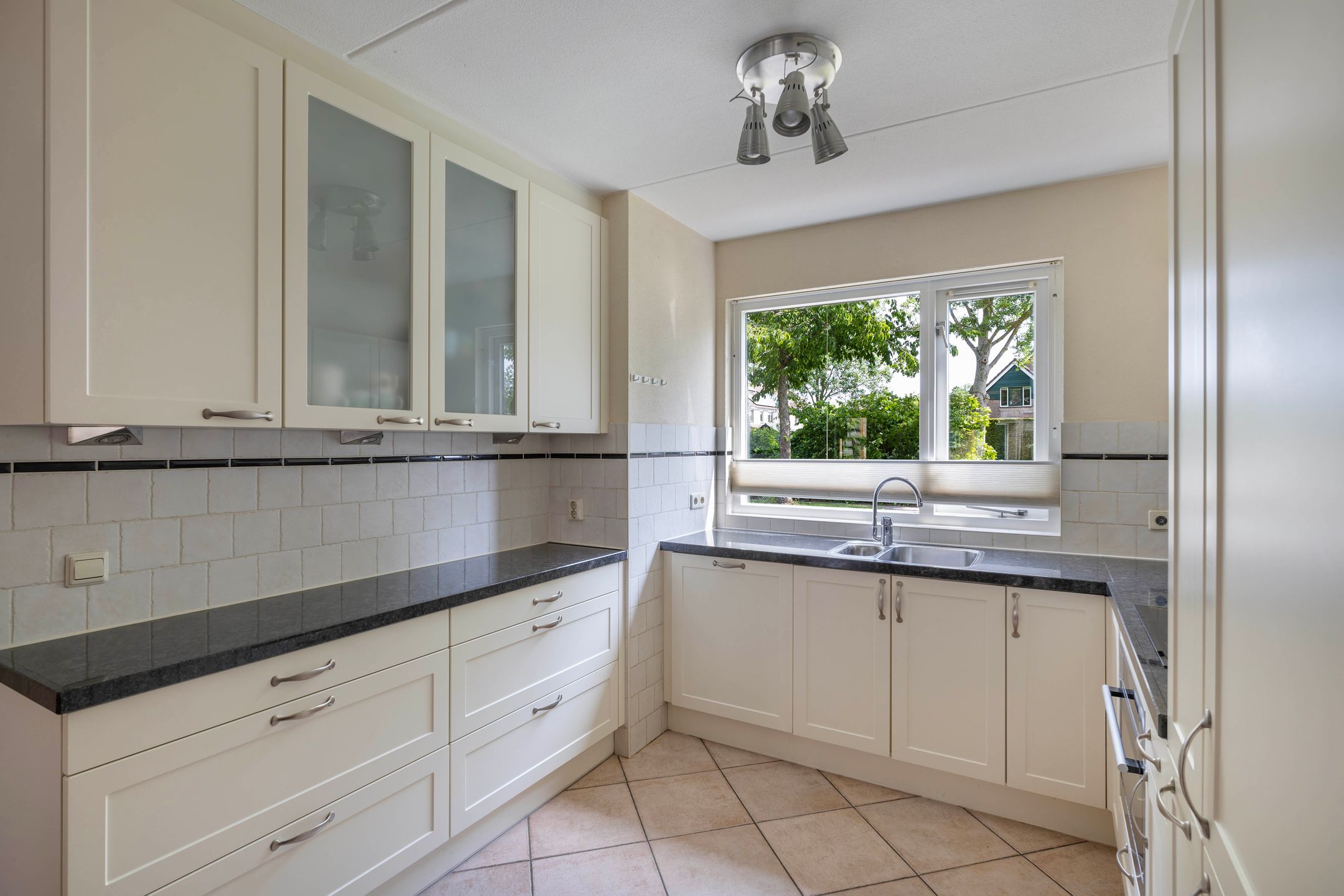 Foto 18 van Speerdistel 12