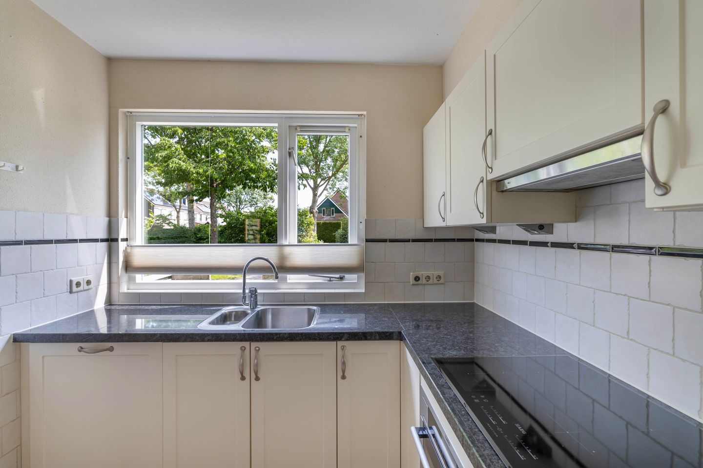 Foto 19 van Speerdistel 12