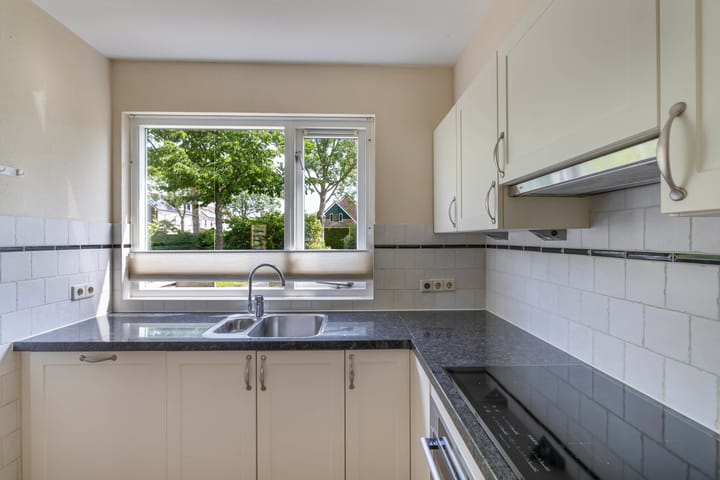 Foto 19 van Speerdistel 12