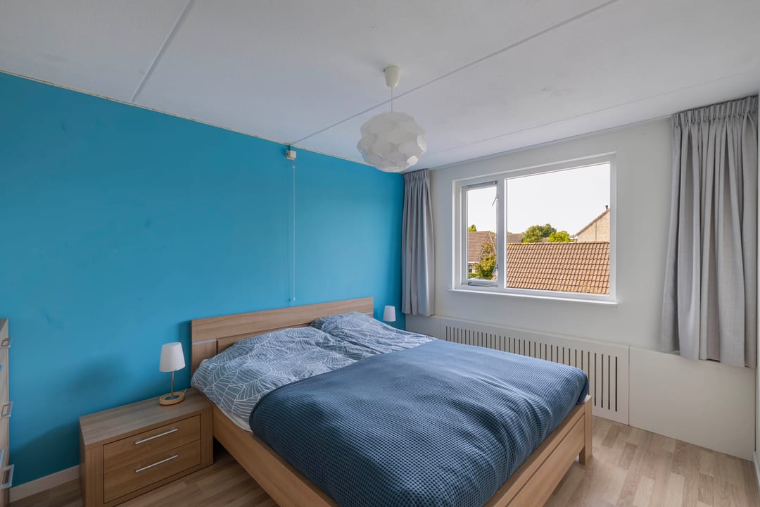 Foto 23 van Speerdistel 12