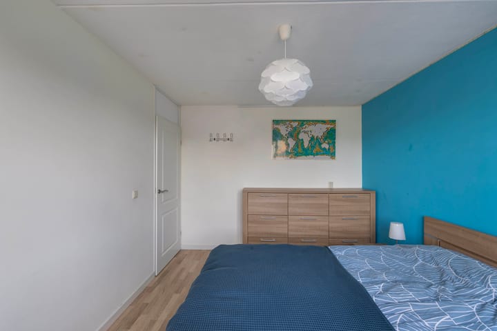 Foto 24 van Speerdistel 12