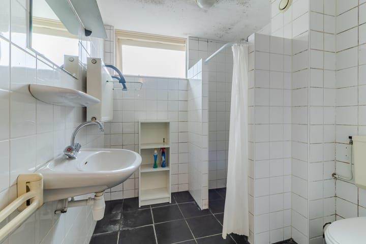 Foto 26 van de Populier 9