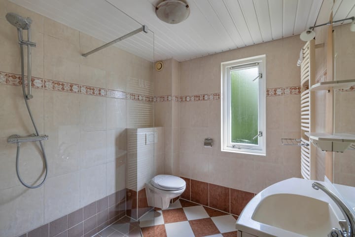 Foto 29 van Speerdistel 12