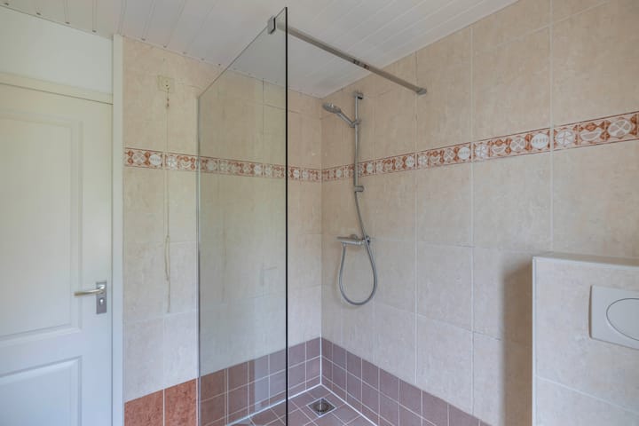 Foto 30 van Speerdistel 12