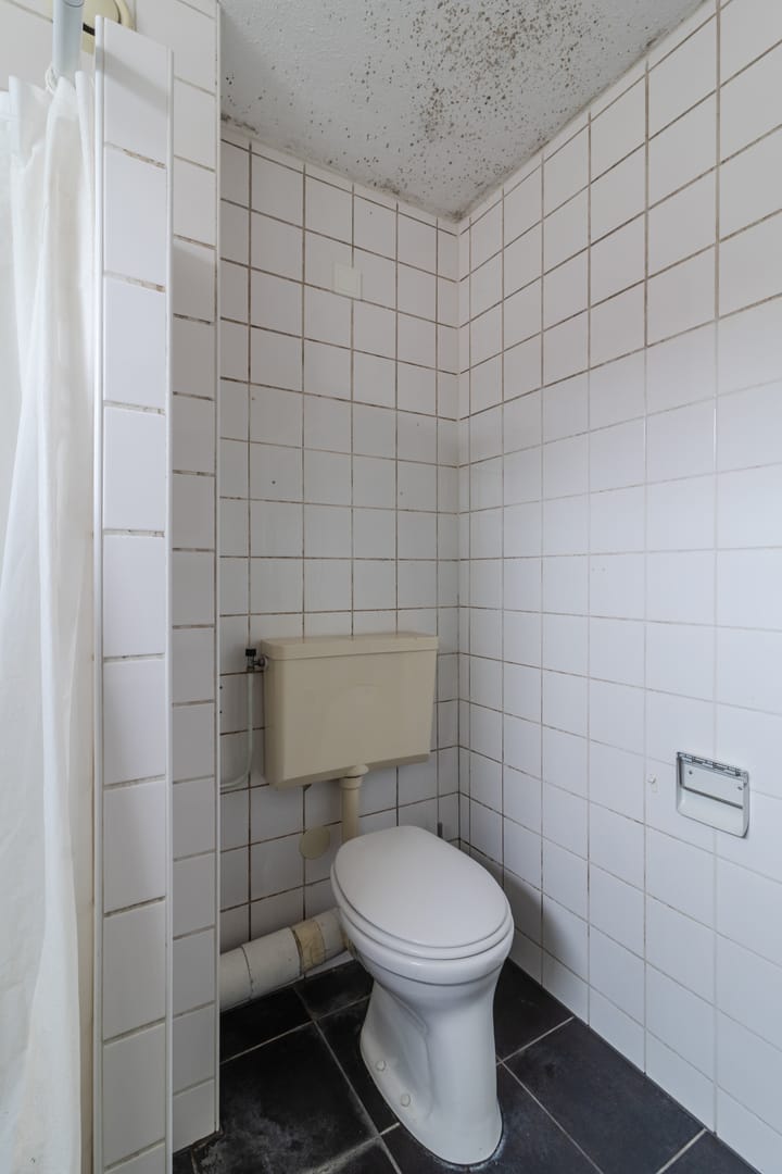 Foto 29 van de Populier 9