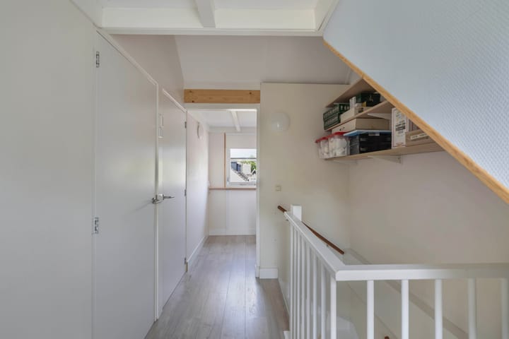 Foto 32 van Speerdistel 12