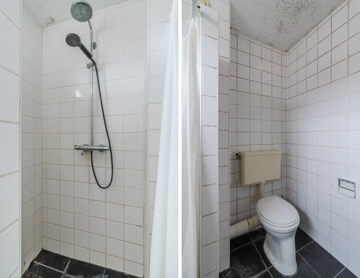 Foto 30 van de Populier 9