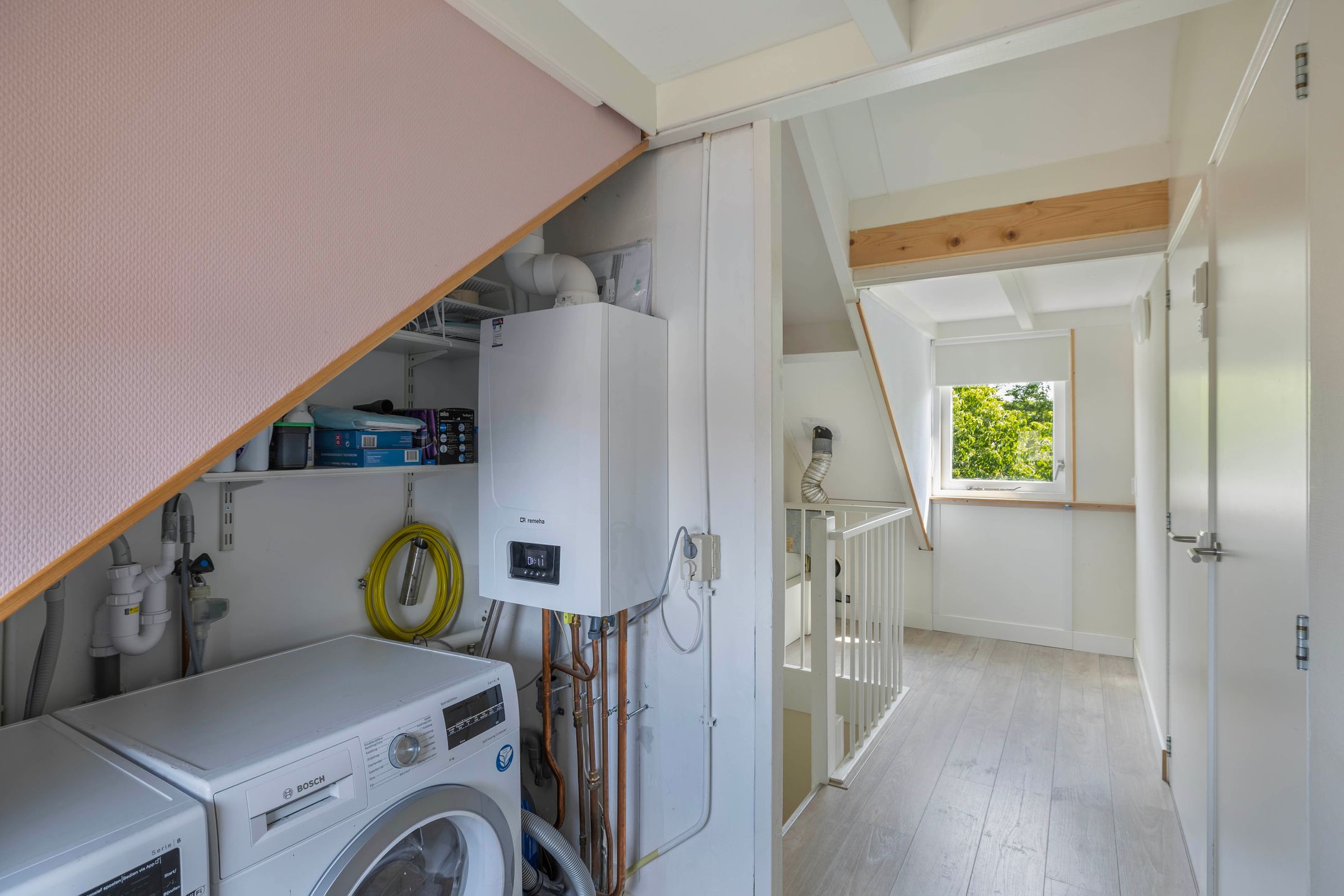 Foto 33 van Speerdistel 12