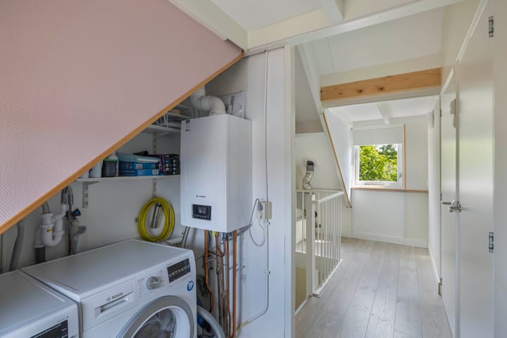 Foto 33 van Speerdistel 12