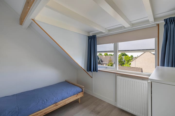 Foto 37 van Speerdistel 12