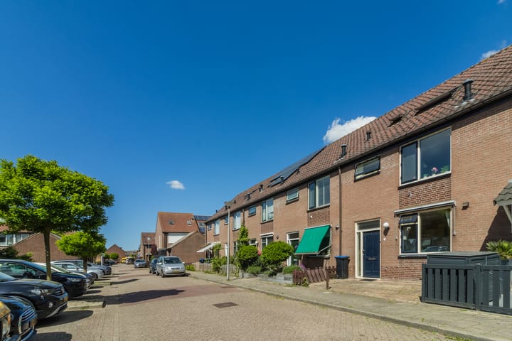 Foto 45 van de Populier 9