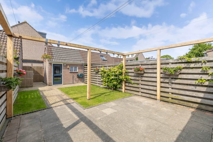 Foto 44 van Speerdistel 12