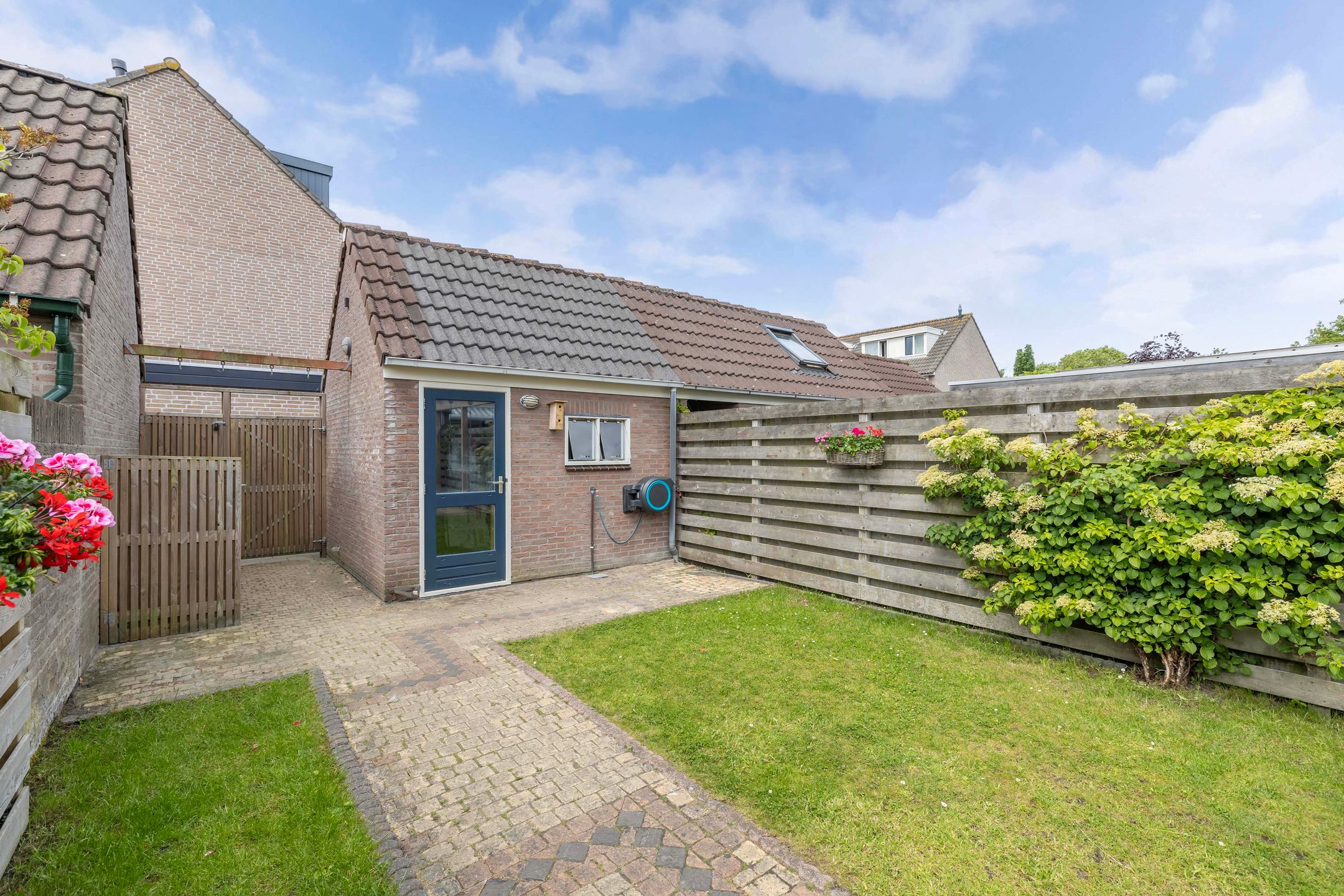 Foto 45 van Speerdistel 12