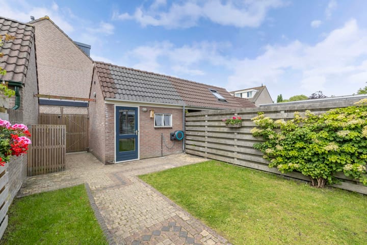 Foto 45 van Speerdistel 12