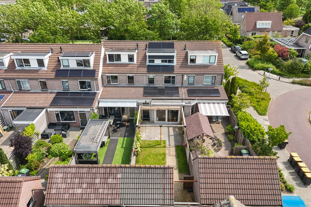 Foto 47 van Speerdistel 12