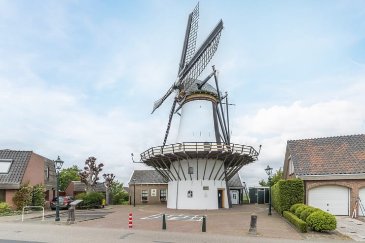 Foto 50 van de Populier 9