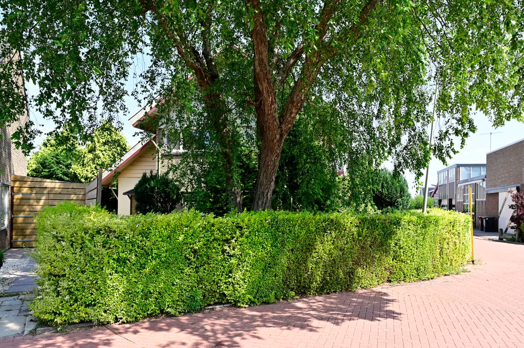 Foto 22 van van Wassenaerstraat 24