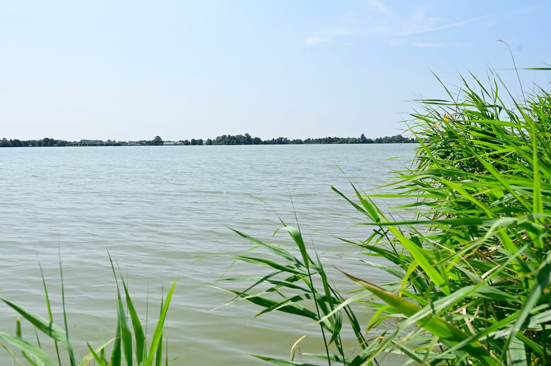 Foto 26 van van Wassenaerstraat 24