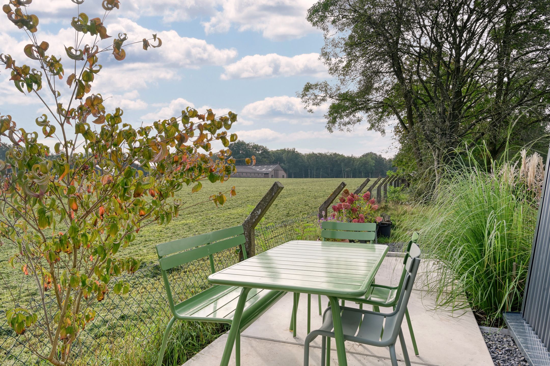 Photo 9 of Radarpad 25