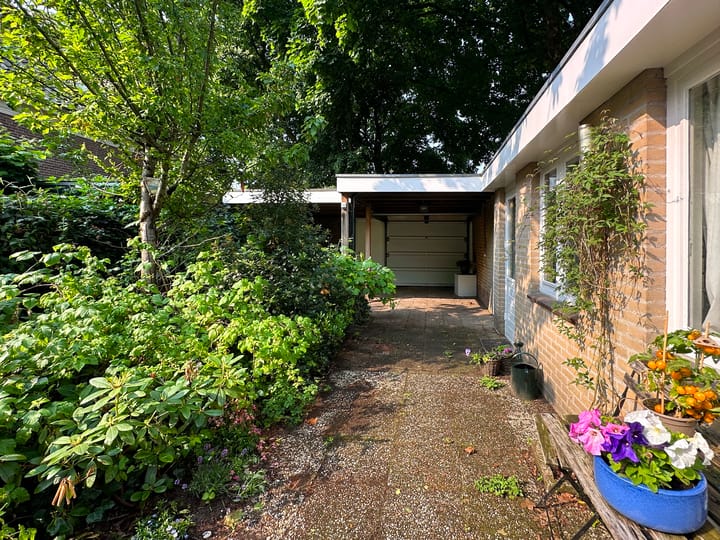 Foto 40 van Roemer Visscherlaan 39-D