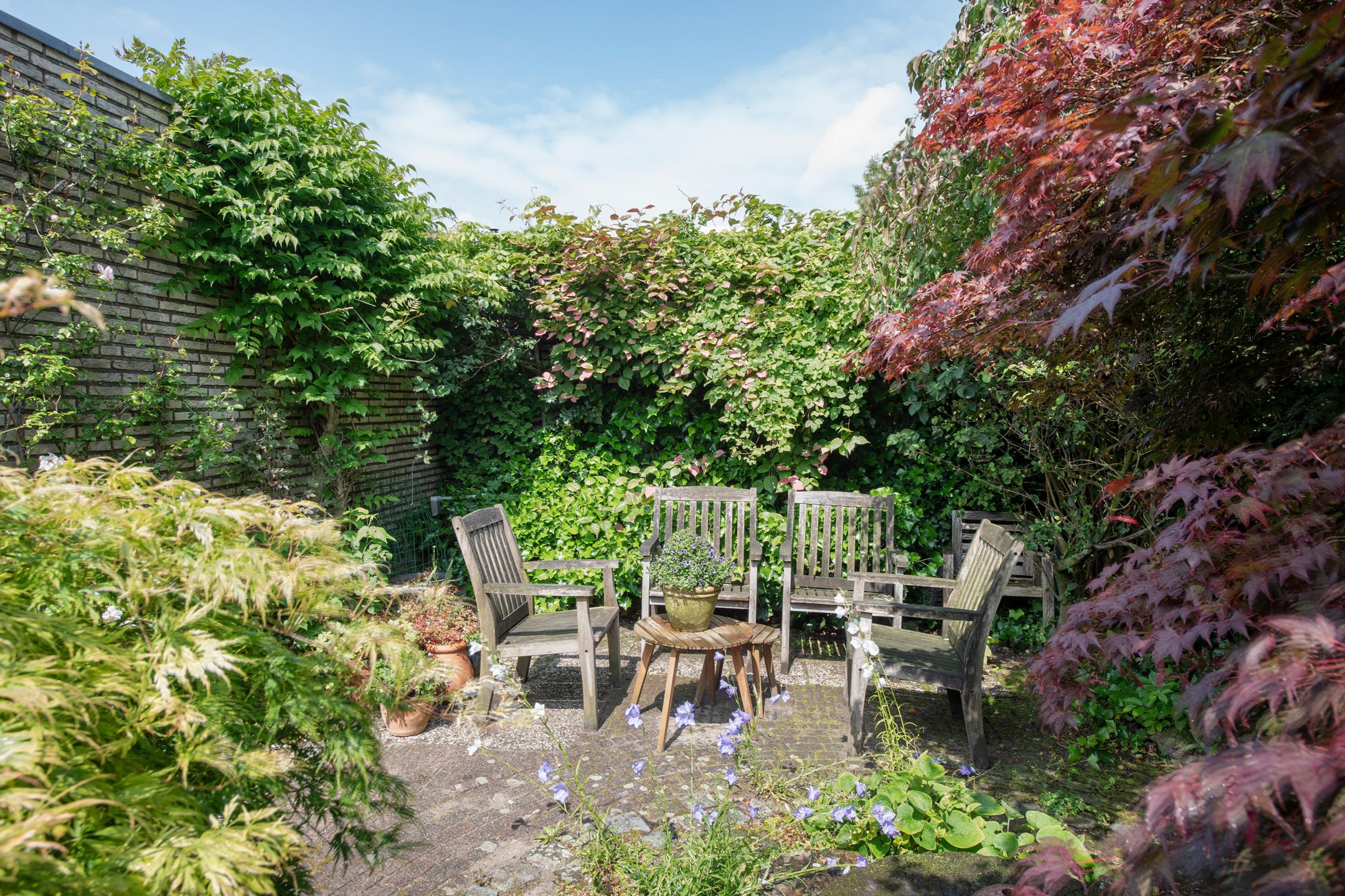 Foto 21 van Troelstralaan 51