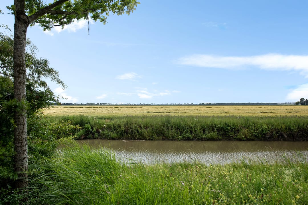 Foto 43 van Troelstralaan 51