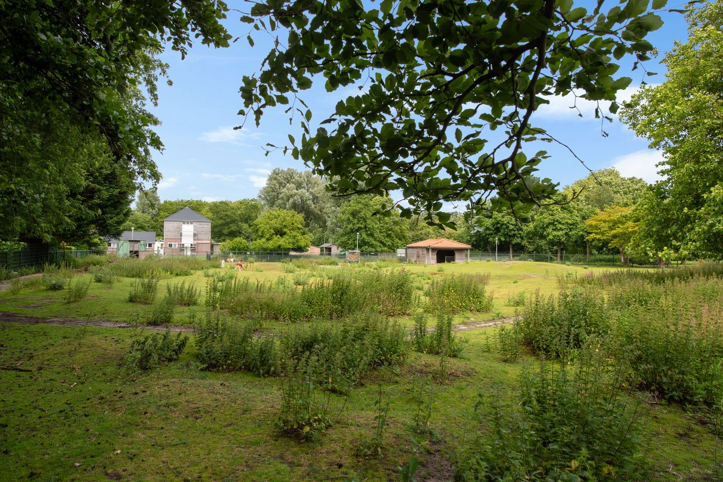 Foto 44 van Troelstralaan 51