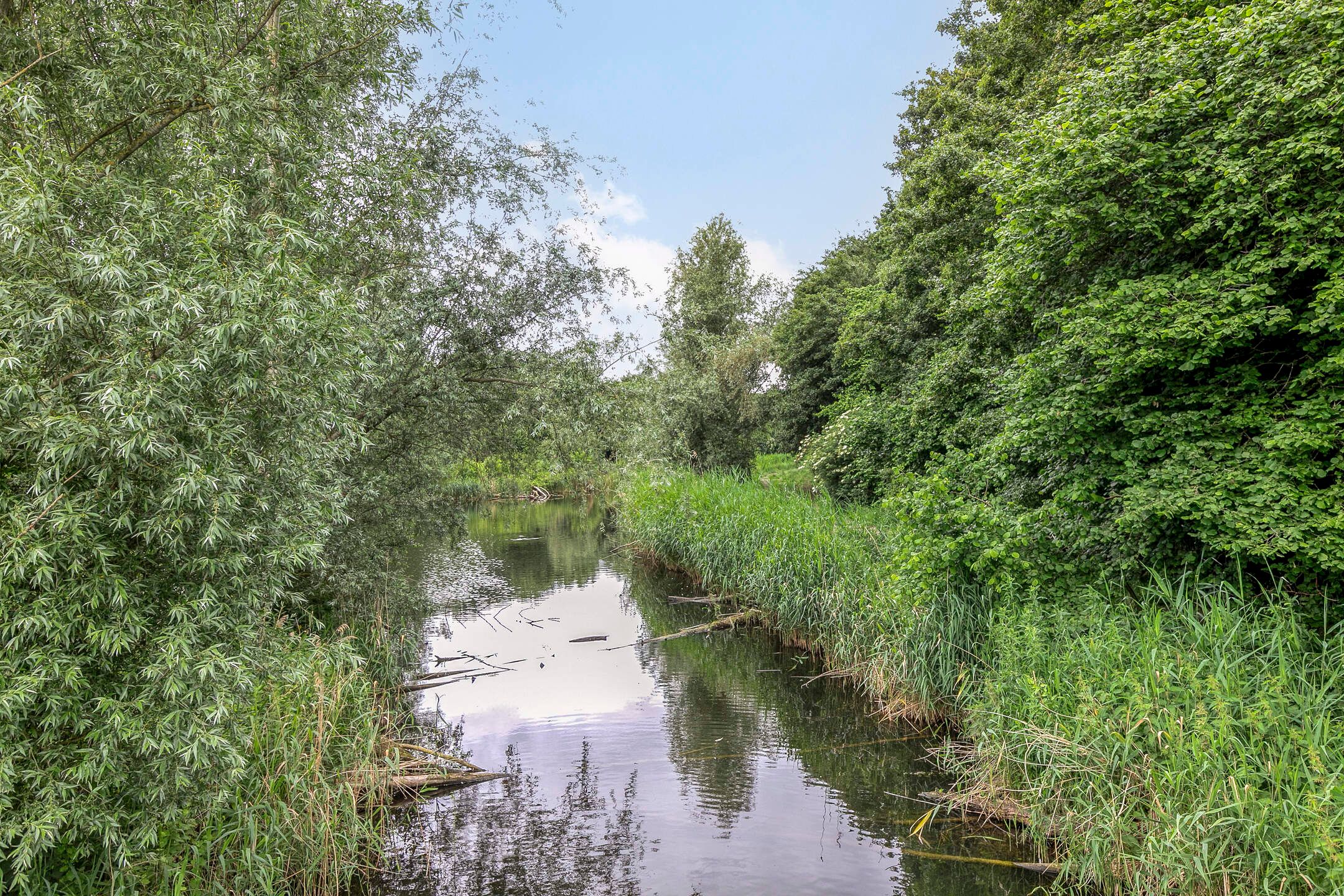 Foto 45 van Koekoeklaan 24