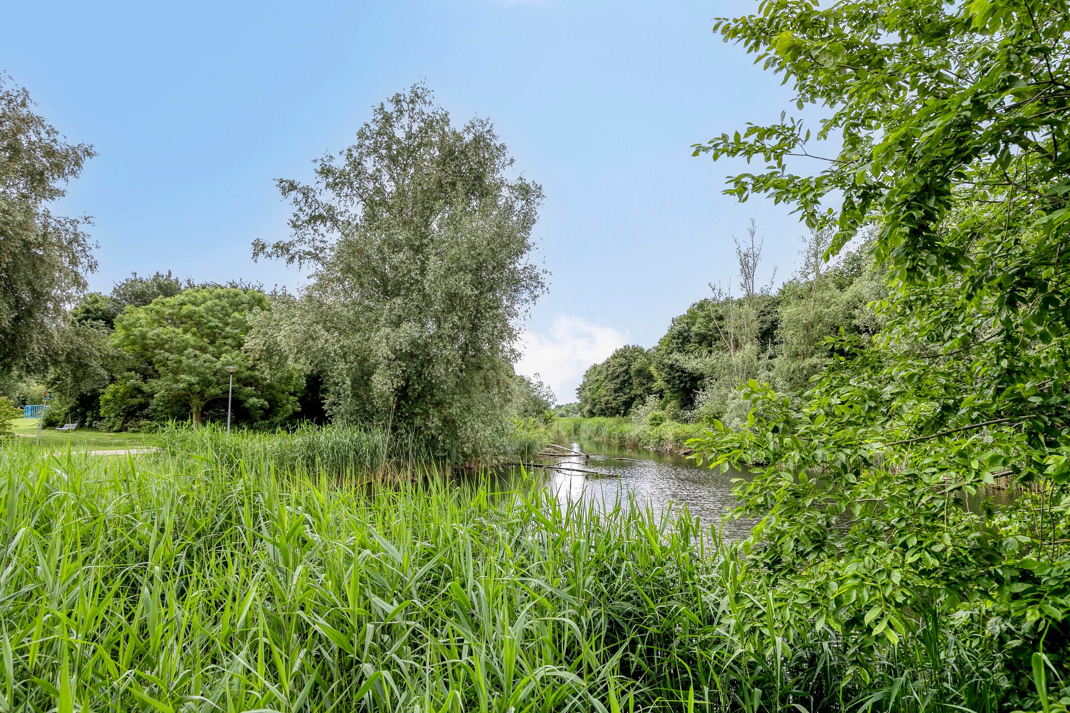 Foto 48 van Koekoeklaan 24