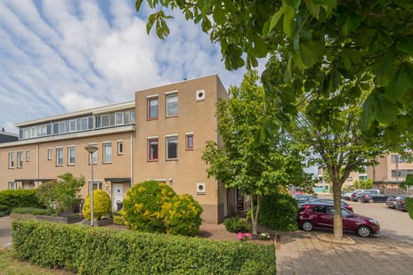 undefined main image