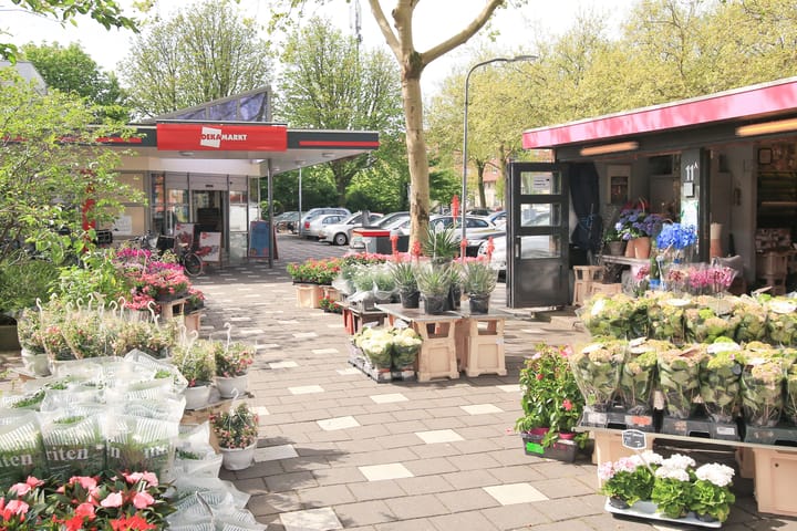 Foto 40 van Mariëttahof 3