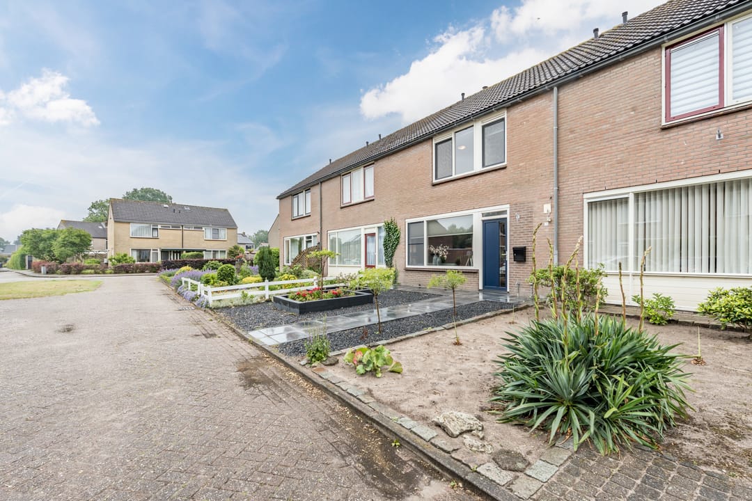 Photo 8 of Hazenpad 11