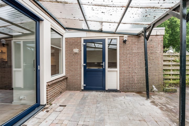 Photo 51 of Hazenpad 11