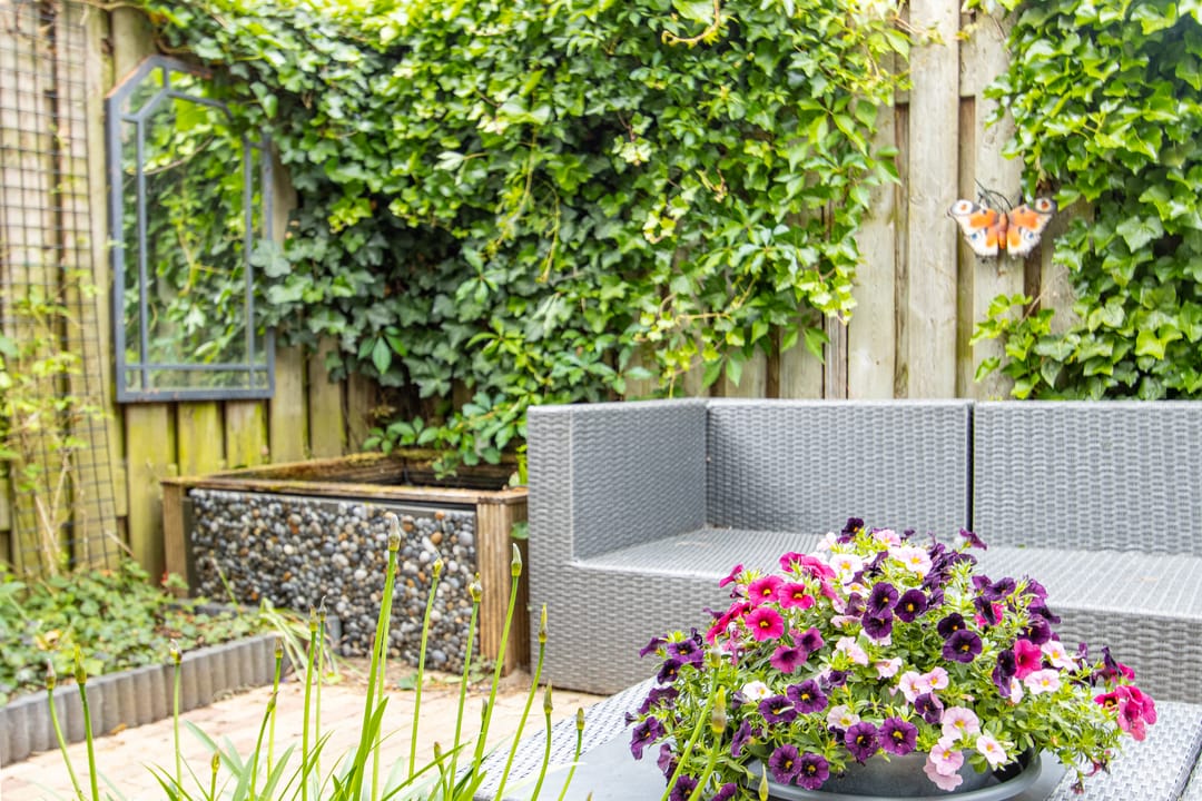 Foto 58 van Fruithof 15