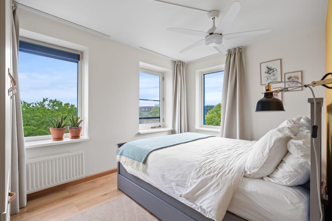 Foto 13 van Wijnbouw 26