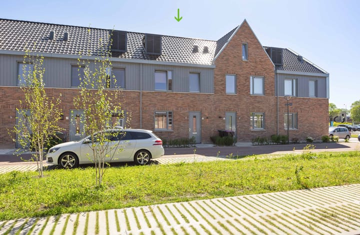 undefined main image