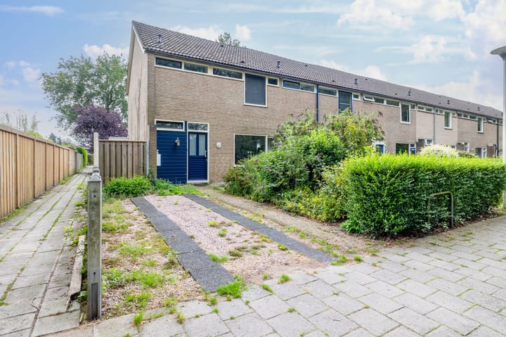 Foto 7 van Ribesstraat 28