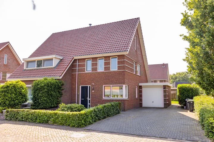 Foto 47 van Tripklompen 12