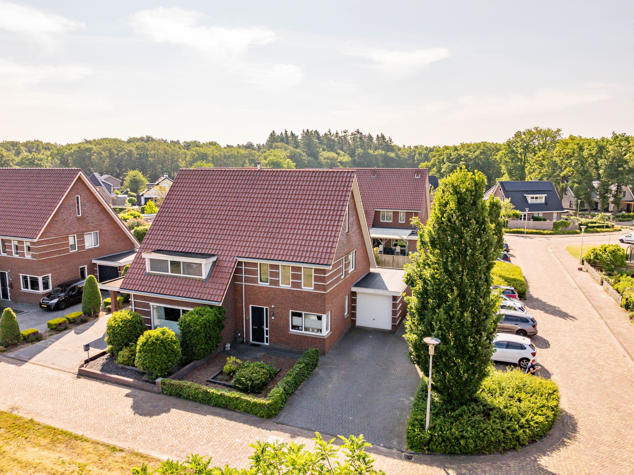 Foto 48 van Tripklompen 12