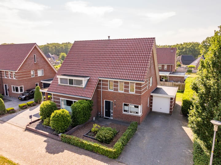 Foto 49 van Tripklompen 12