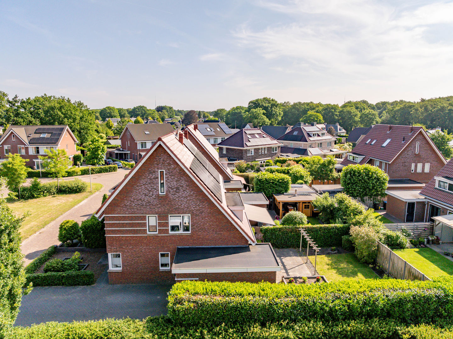 Foto 50 van Tripklompen 12