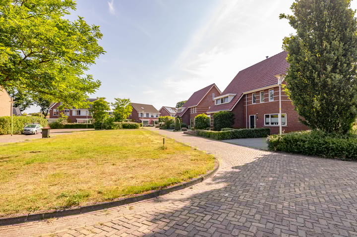 Foto 52 van Tripklompen 12