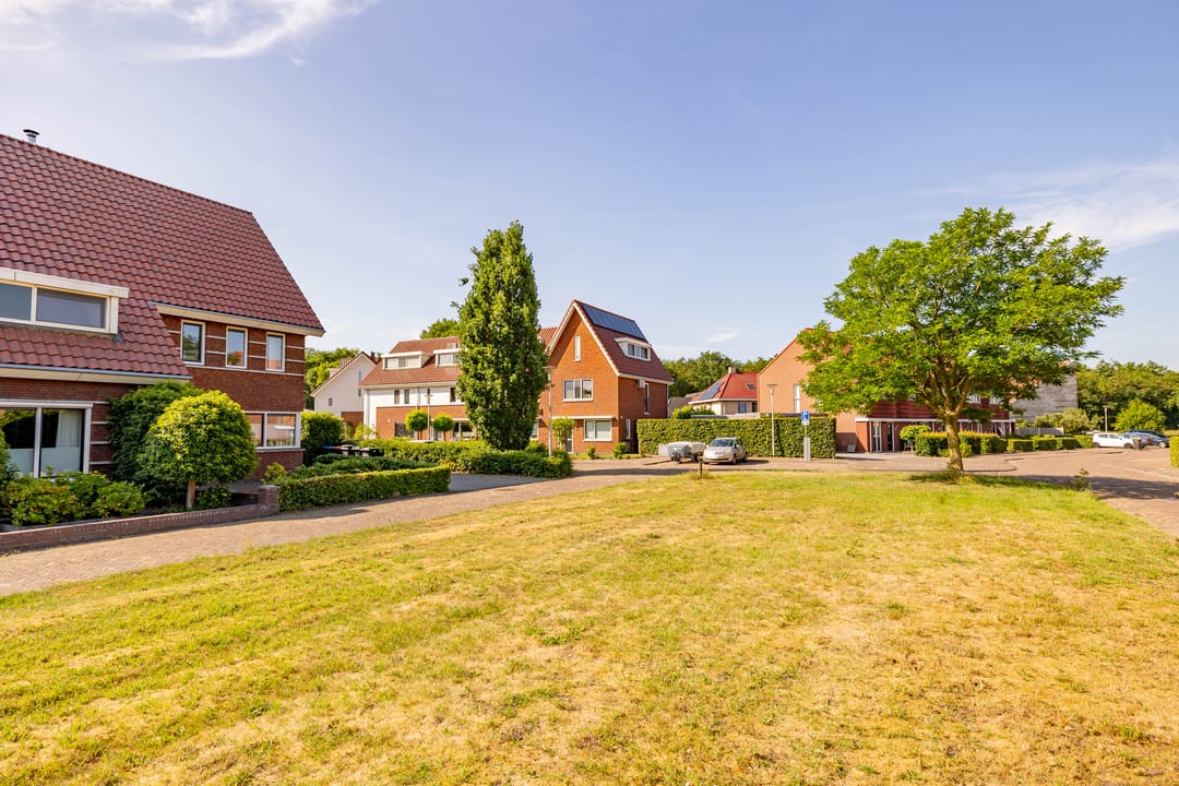 Foto 53 van Tripklompen 12