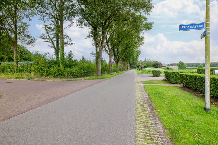 Foto 35 van Ribesstraat 28