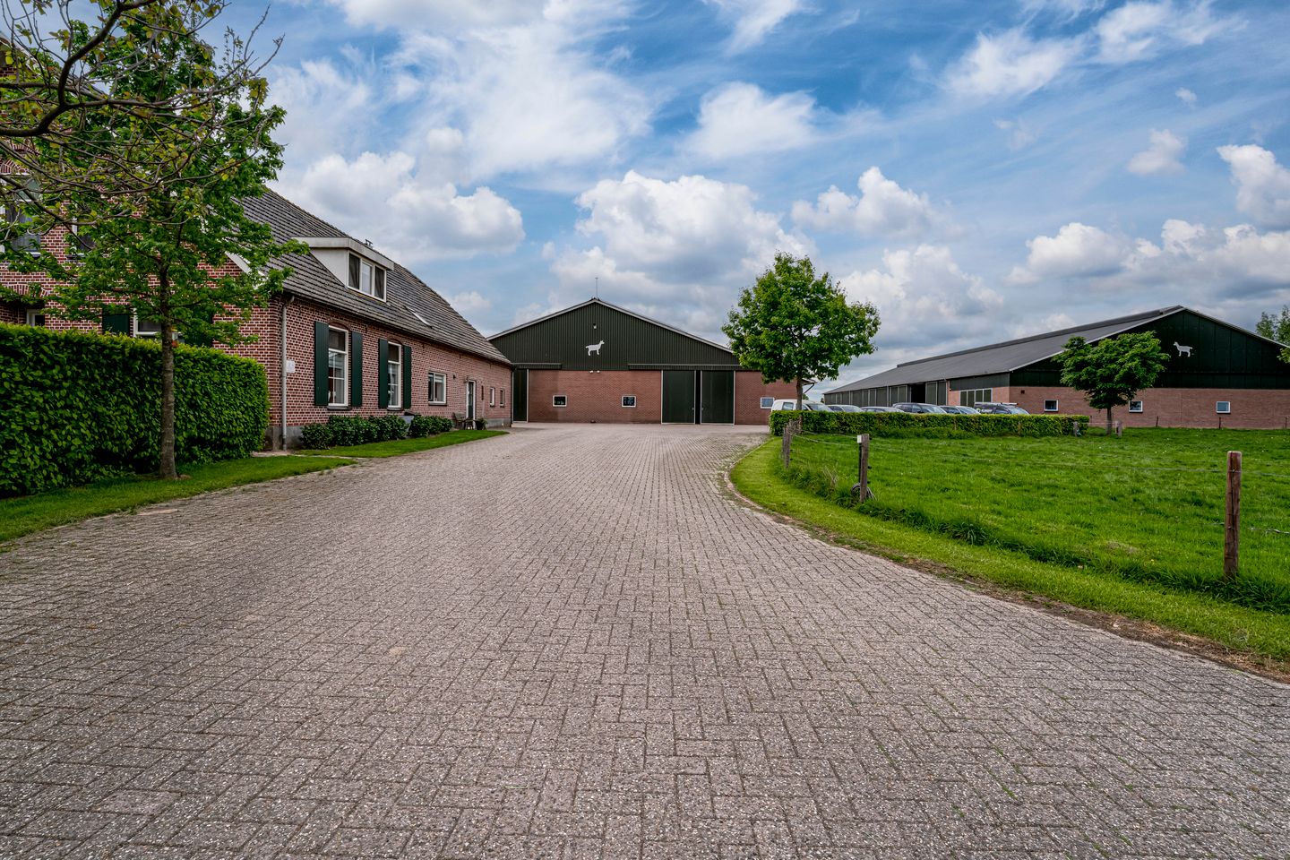 Bekijk foto 3 van Langeboomsestraat 7