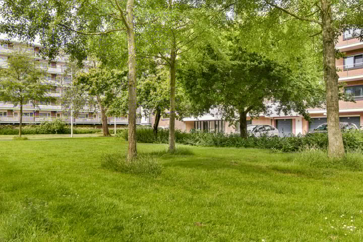 Foto 24 van Matterhorn 10