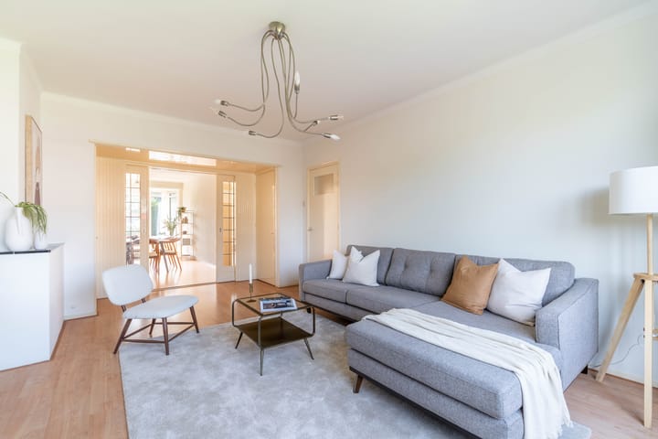 Foto 3 van Stadhoudersplantsoen 60