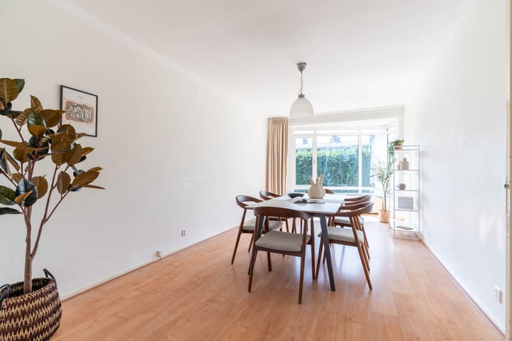 Foto 4 van Stadhoudersplantsoen 60