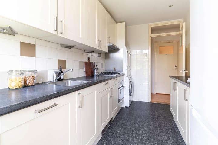 Foto 8 van Stadhoudersplantsoen 60